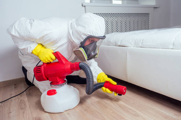 Best Rat Extermination Near Me  in Garden City, NY