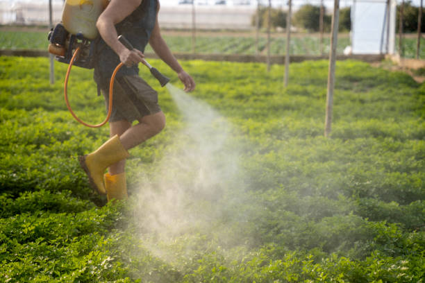 Best Pest Inspection Near Me  in Garden City, NY