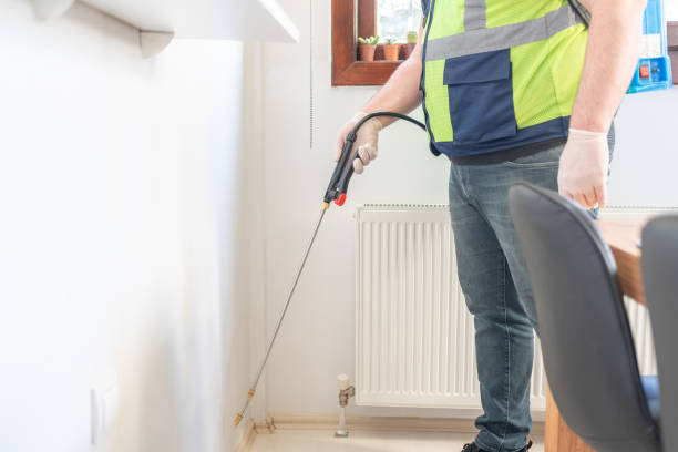 Best Wasp Removal Services  in Garden City, NY